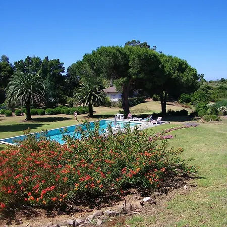 Domaine Amandiers - L'eucalyptus