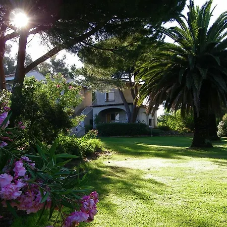 Domaine Amandiers - L'eucalyptus Porticcio (Corsica)