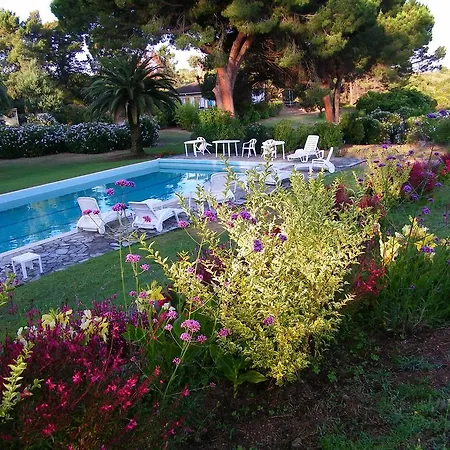 Domaine Amandiers - L'eucalyptus Porticcio (Corsica)