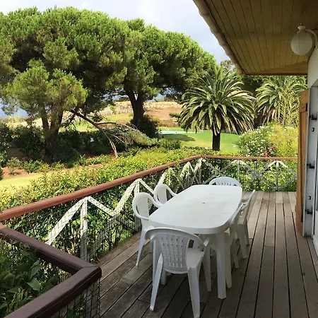 Domaine Amandiers - L'eucalyptus * Porticcio (Corsica)